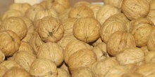 Nueces