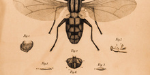 IES_LOPEDEVEGA_CIENCIASNATURALES_019