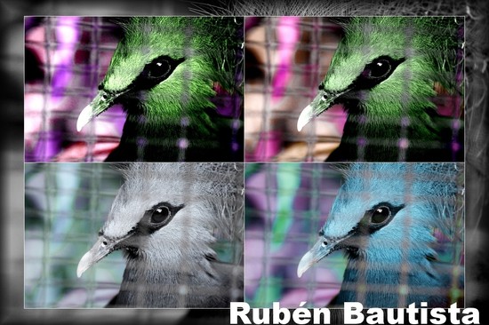 Actividad 2.3 - Recursos multimedia