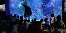 FOTOS AQUARIUM 1 22