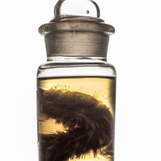 IES_SANISIDRO_MUSEO_BOTES_001