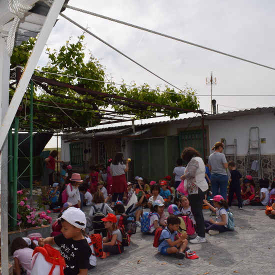 Siembra Huerta Balta 5 años 2018 40