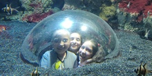 FOTOS AQUARIUM 2 22