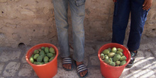 Venta de fruta, El Djem, Túnez