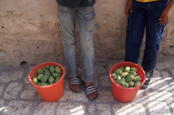 Venta de fruta, El Djem, Túnez