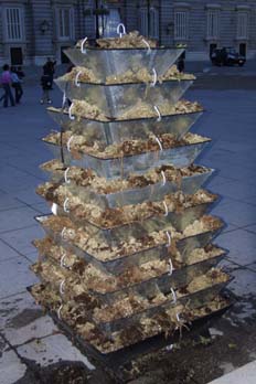 Setos artificiales para la Boda Real