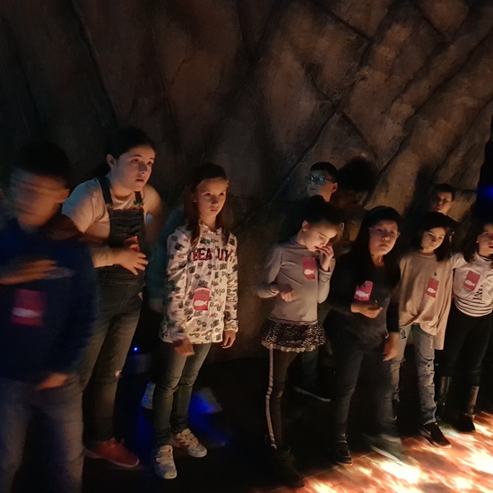 Fotos Aquarium Xanadú 3ºB 27