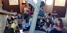 Visita a la exposición El Bosque. 1º 2º Primaria. CEIP Pinocho. 2016/17 18
