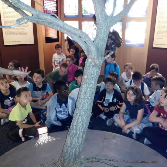 Visita a la exposición El Bosque. 1º 2º Primaria. CEIP Pinocho. 2016/17 18