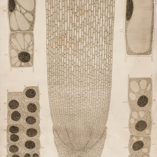 IES_LOPEDEVEGA_CIENCIASNATURALES_040