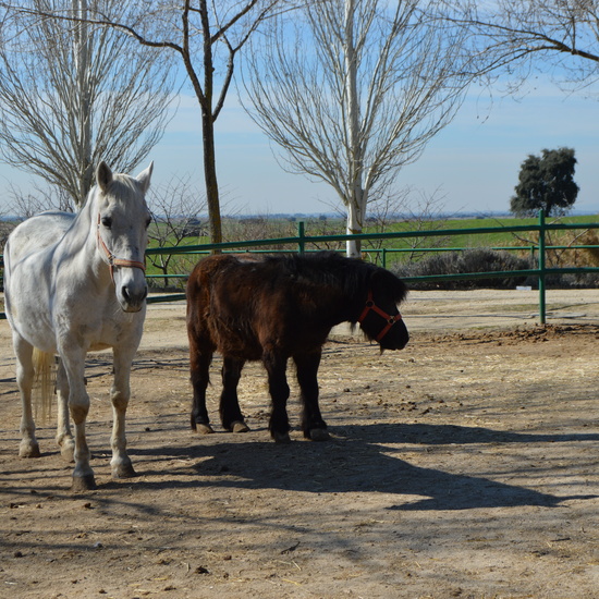GRANJA ESCUELA ALBITANA 2018 17