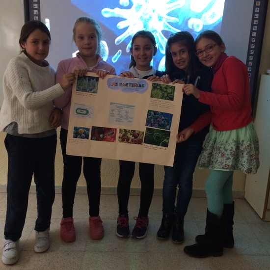 Quinto B_Aprendizaje Cooperativo en CCNN 9