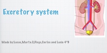 EXCRETORY SYSTEM