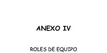 Anexo IV. Roles equipos