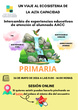 Cartel Intercambio de Experiencias PRIMARIA