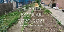 HUERTO ESCOLAR