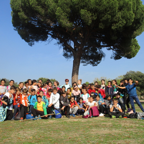 EN MÚLTIPLE 6º - 2019 (2ª Parte) 32