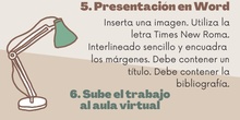 INSTRUCCIONES TAREA 5