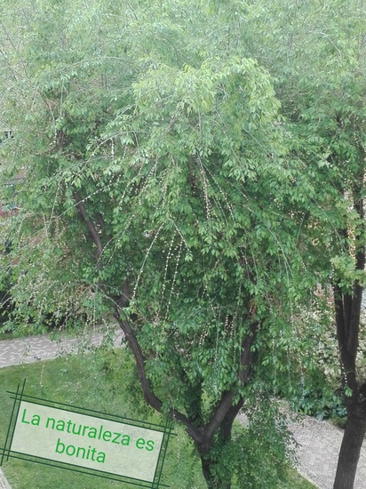 Marcos Miguel Casco 1º B