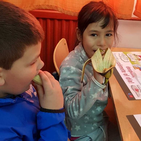 Desayuno saludable 10