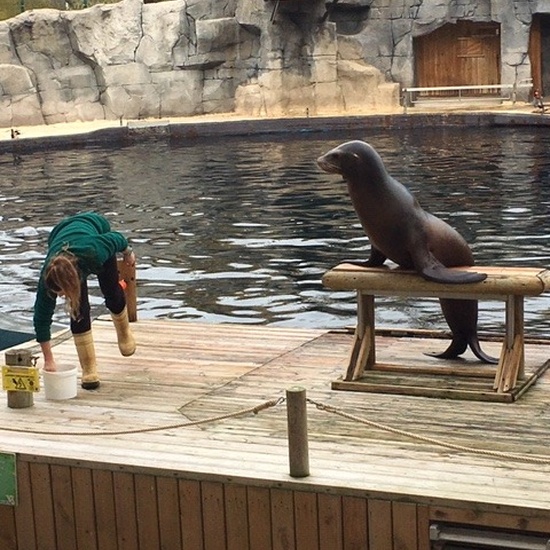 Parque de la Naturaleza. Faunia. 5º Curso. 27