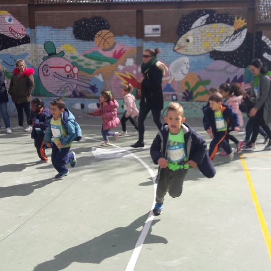 Carrera Solidaria 13