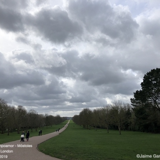 72 Windsor Gardens #1