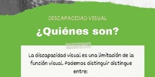 Discapacidad visual, ¿Quiénes son?