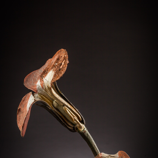 IES_ISABELLACATOLICA_BIOLOGIA_131