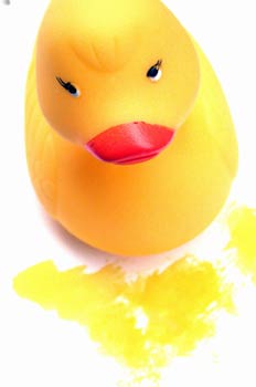 Pato de goma y pintura amarilla