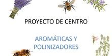Aromáticas y Polinizadores en el IES Lázaro Cárdenas