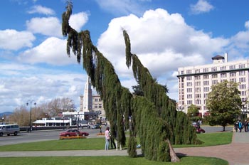 Jardines del Hotel The Empress, Victoria