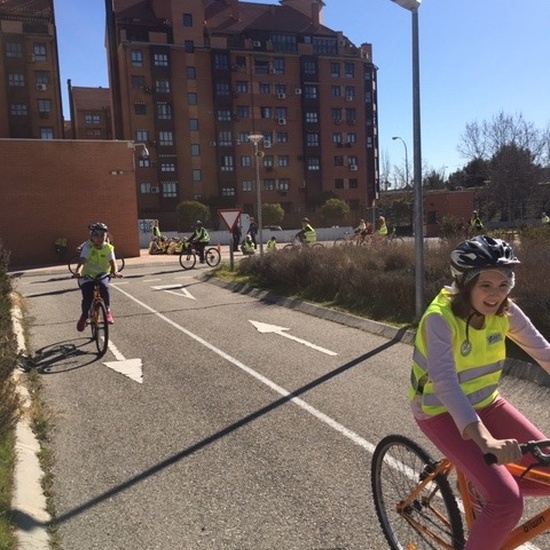 EDUCACIÓN VIAL. 6º 8