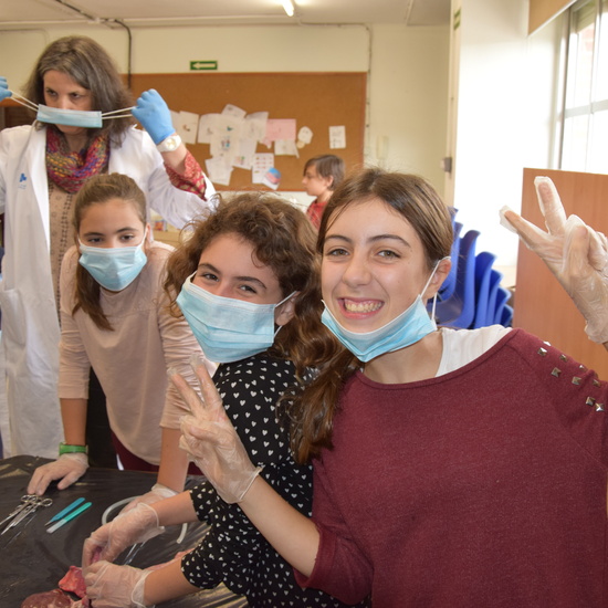 2016_12_02_Diseccion de corazon y pulmones_Sexto 9