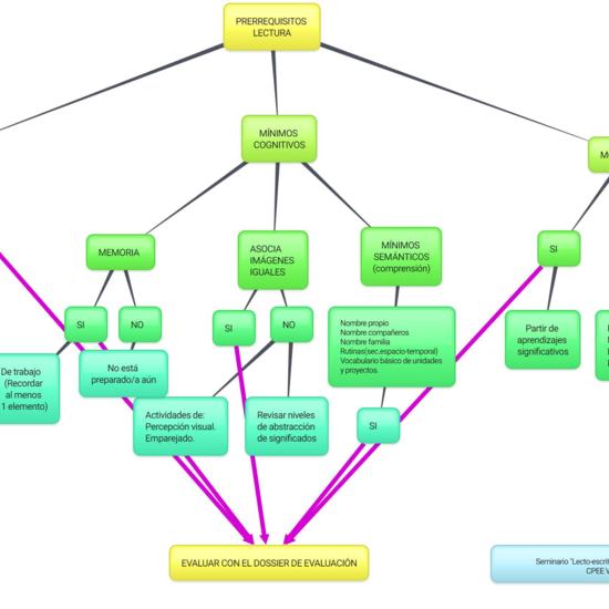 ESQUEMA PRERREQUISITOS LECTURA