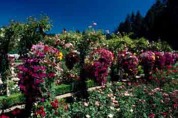 Ajardinado en Vancouver