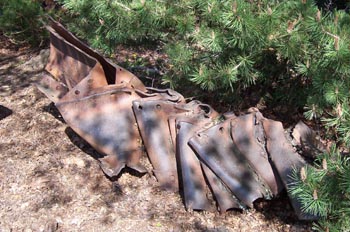 Parque Beacon Hill, Victoria