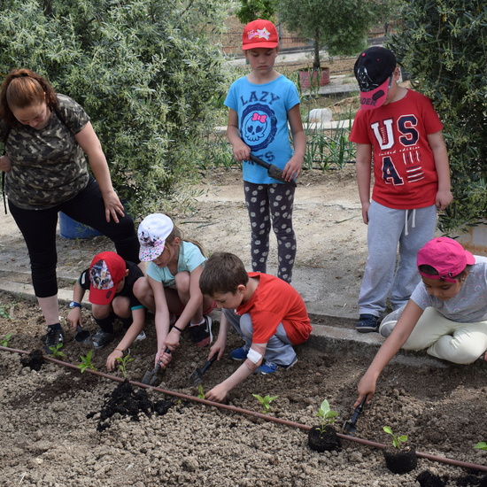 Siembra Huerta Balta 5 años 2018 43