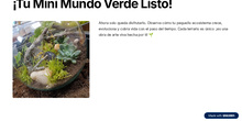 El jardín en miniatura. 