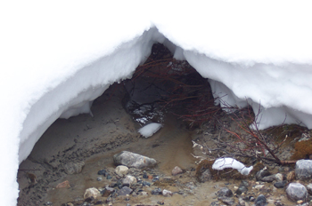 Nieve, Lago Louise, Parque Nacional Banff