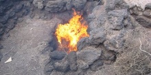 Llamas en Timanfaya