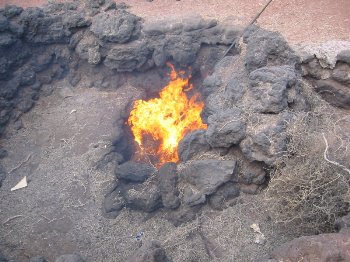 Llamas en Timanfaya