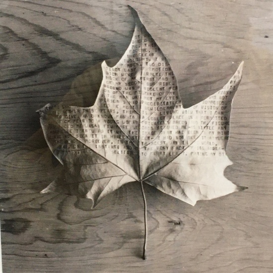 Exposición Chema Madoz 16