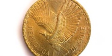 Cara de una moneda de centésimos de escudos, Chile