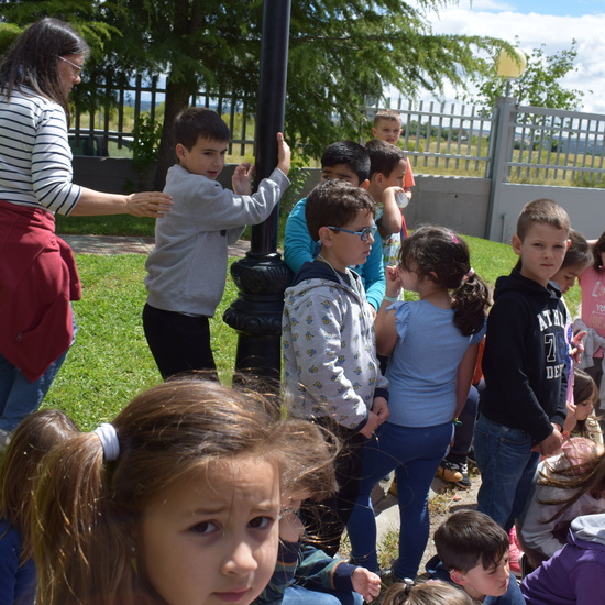 Primeros Auxilios 3 2018 15