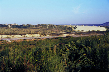 Conjunto dunar de la Playa de El Espartal, Castrillón, Principad