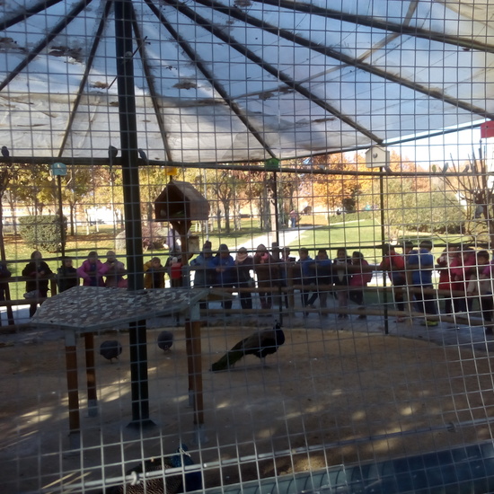 3º en Parque Europa 2017 6