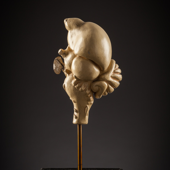 IES_SANISIDRO_BIOLOGIA_183