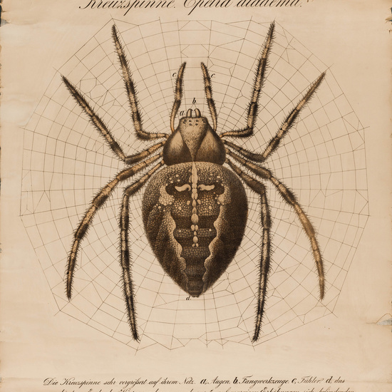 IES_LOPEDEVEGA_CIENCIASNATURALES_022