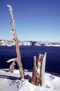 Paisaje invernal